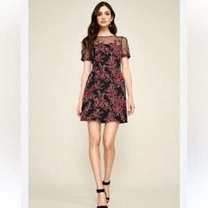 Tadashi Shoji Zephri Mini Dress